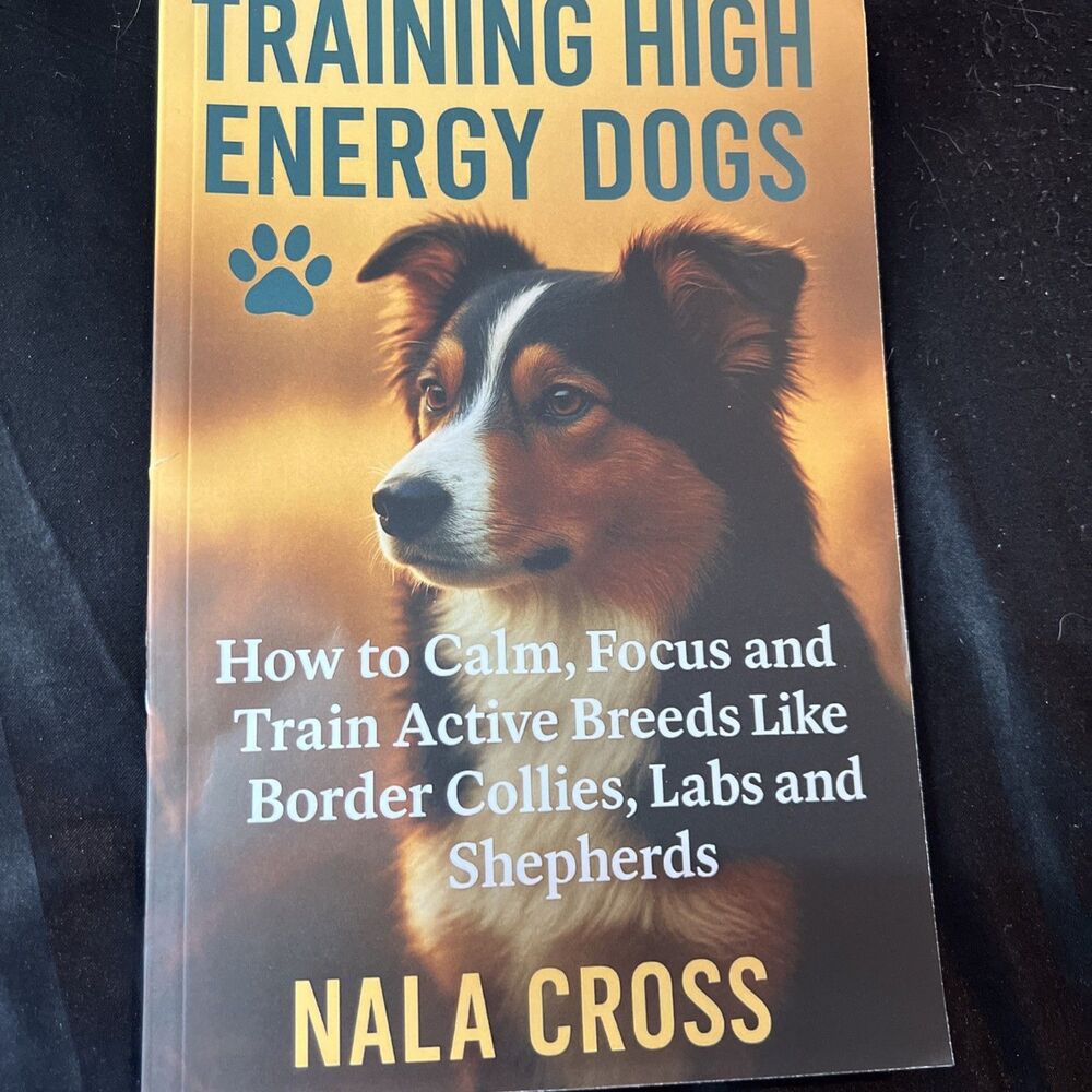 Obedience Training High Energy Dogs Border Collies Labs Shepherds